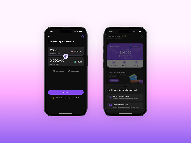 WakalaPay Contact Form